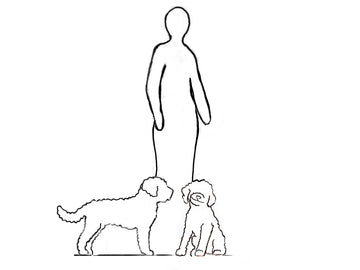 SPB Harmony : Faithful dog two 169-93