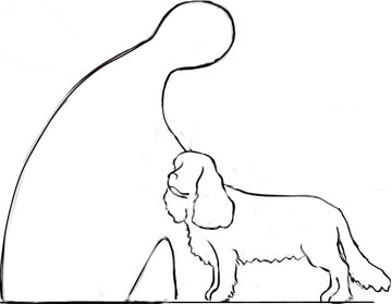 spb Harmony Faithful dog 173